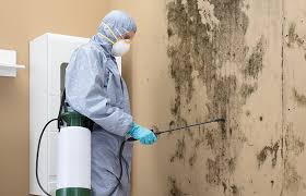 Best Air Quality Testing for Mold Spores  in Country Club Hls, IL